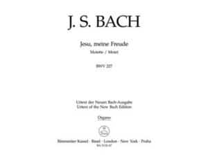 Motet No.3