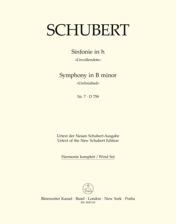 Symphony No.7 In B Minor D 759 - Unfinished